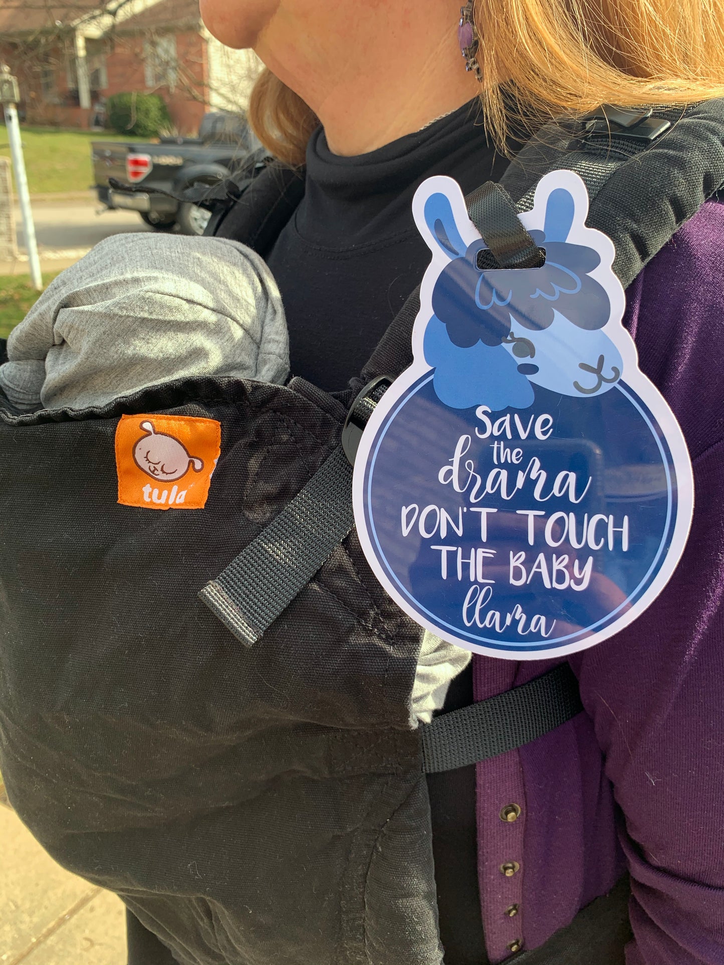 Blue Llama Tag
