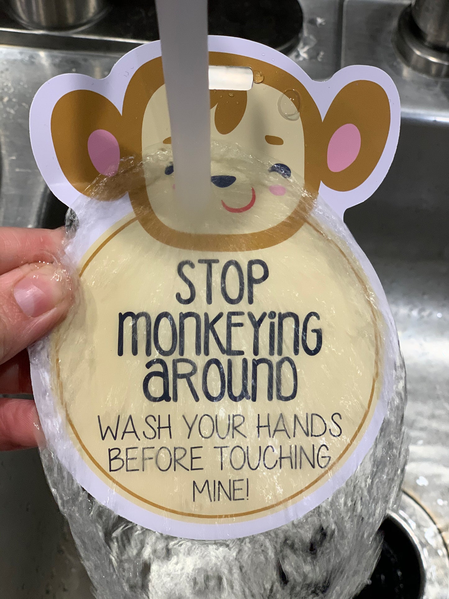 Monkey Tag