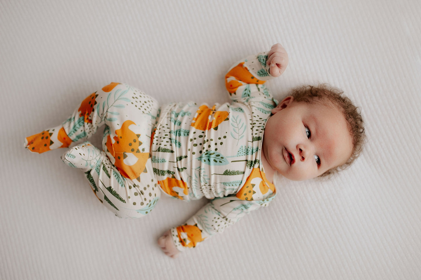 Dinosaur Jammies