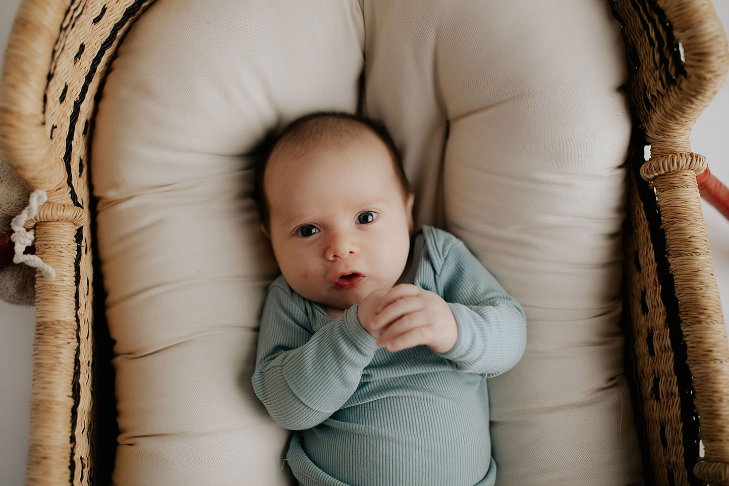 Blue Bird Jammies