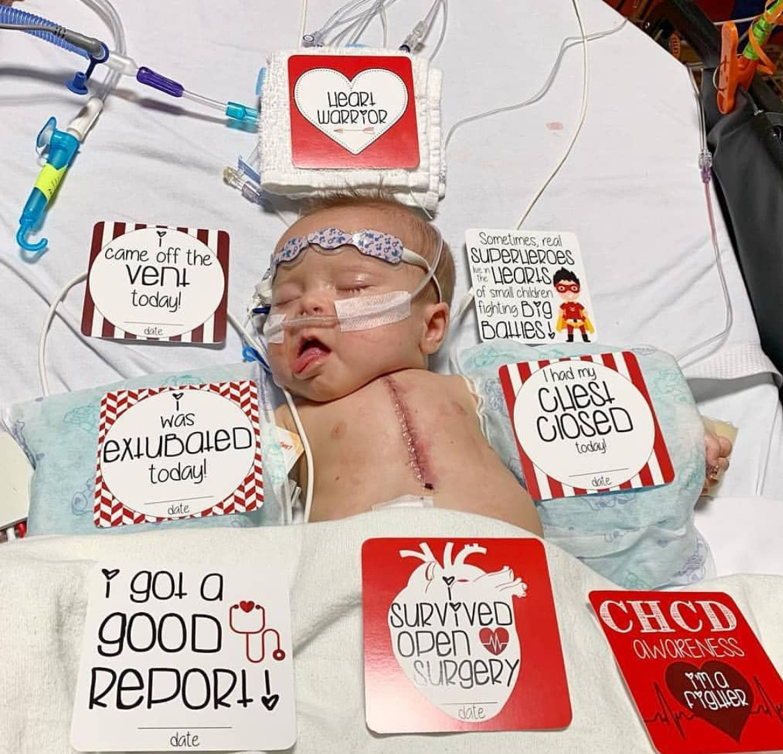 CHD Heart Warrior Plastic Milestone Cards
