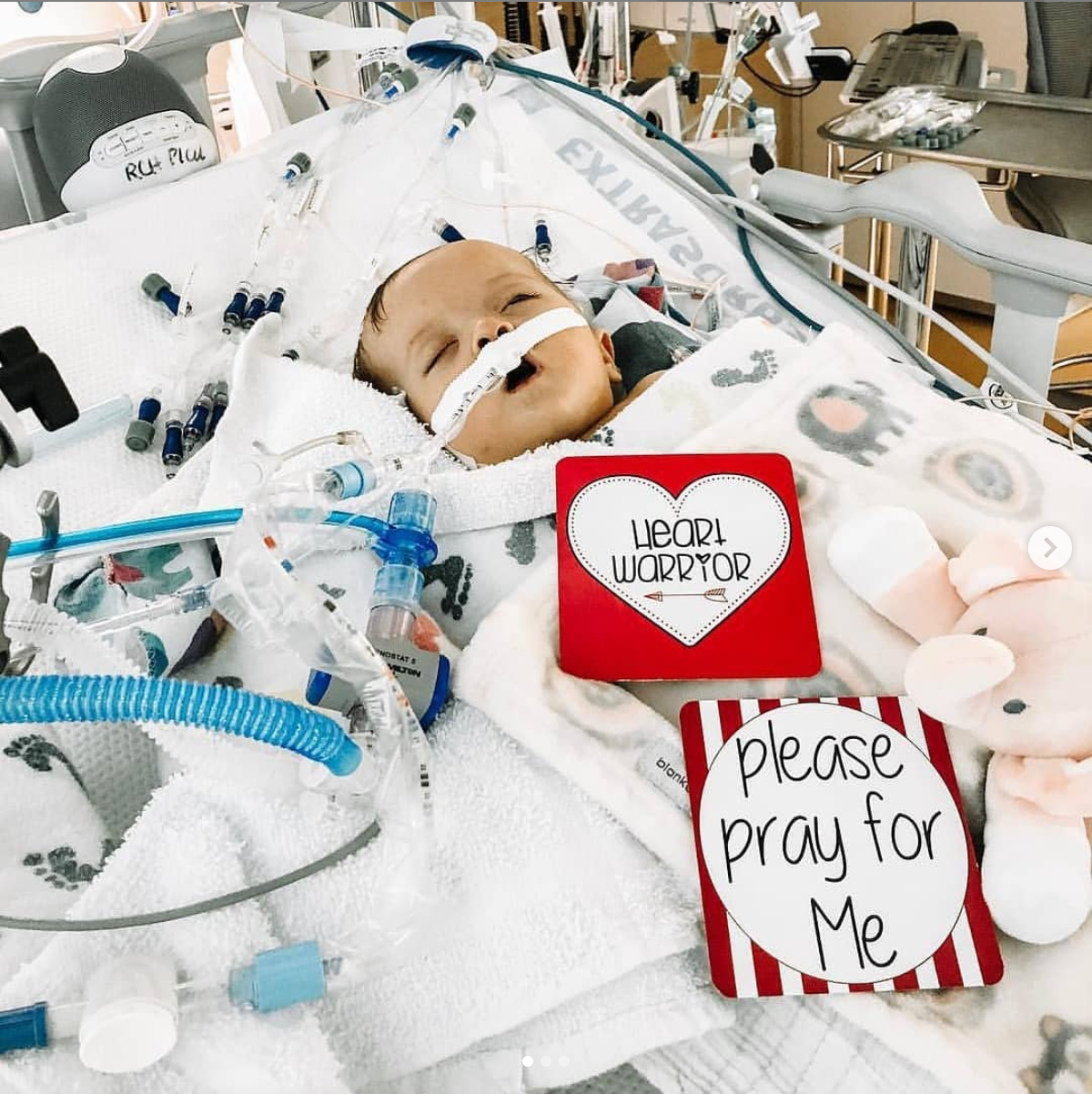 CHD Heart Warrior Plastic Milestone Cards