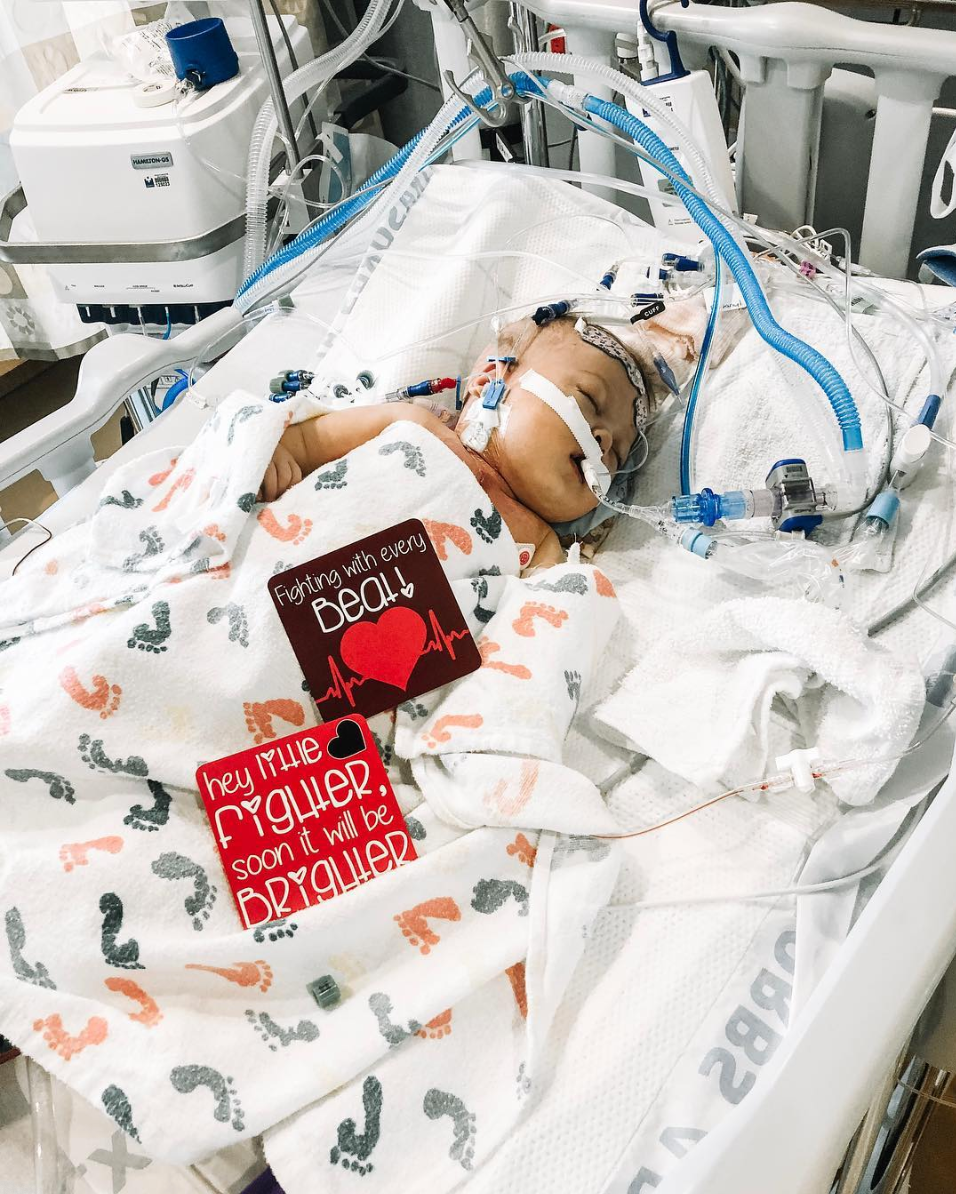 CHD Heart Warrior Plastic Milestone Cards