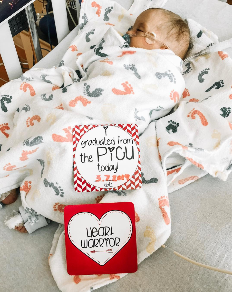 CHD Heart Warrior Plastic Milestone Cards