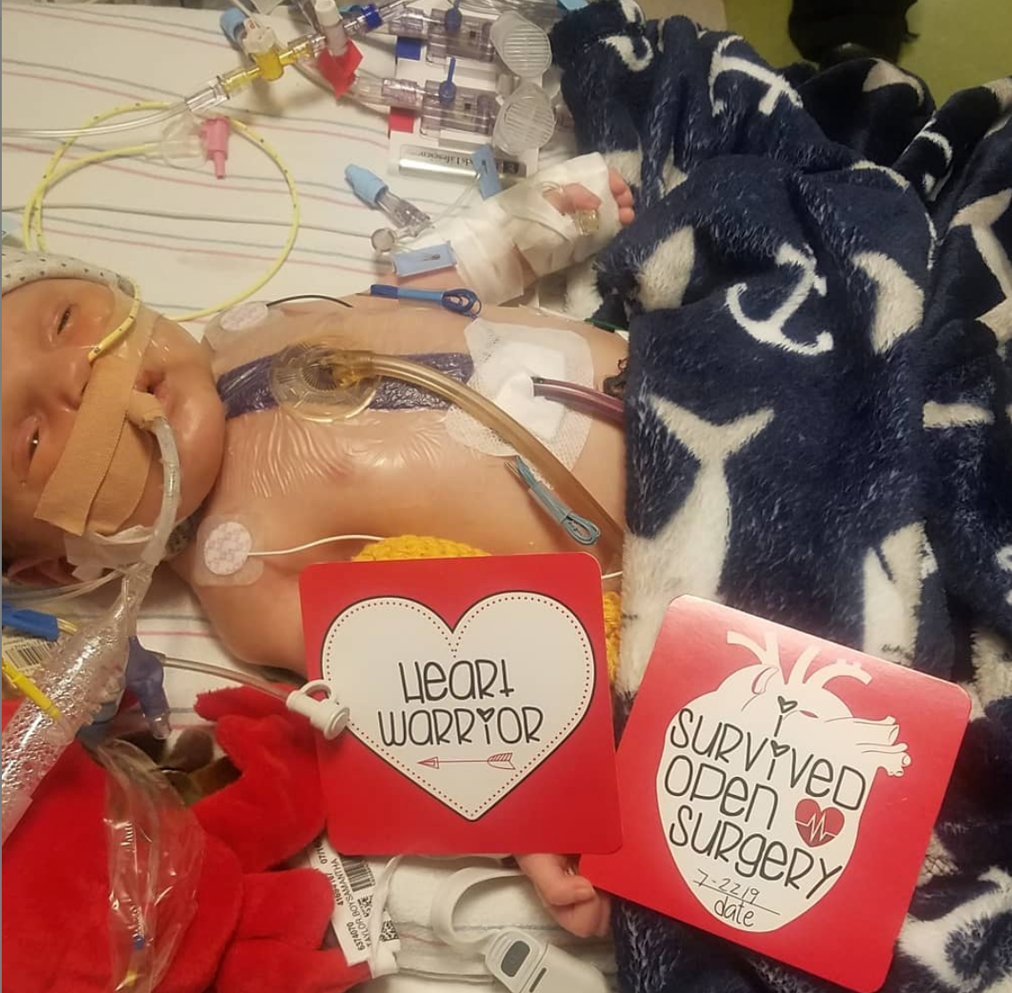 CHD Heart Warrior Plastic Milestone Cards