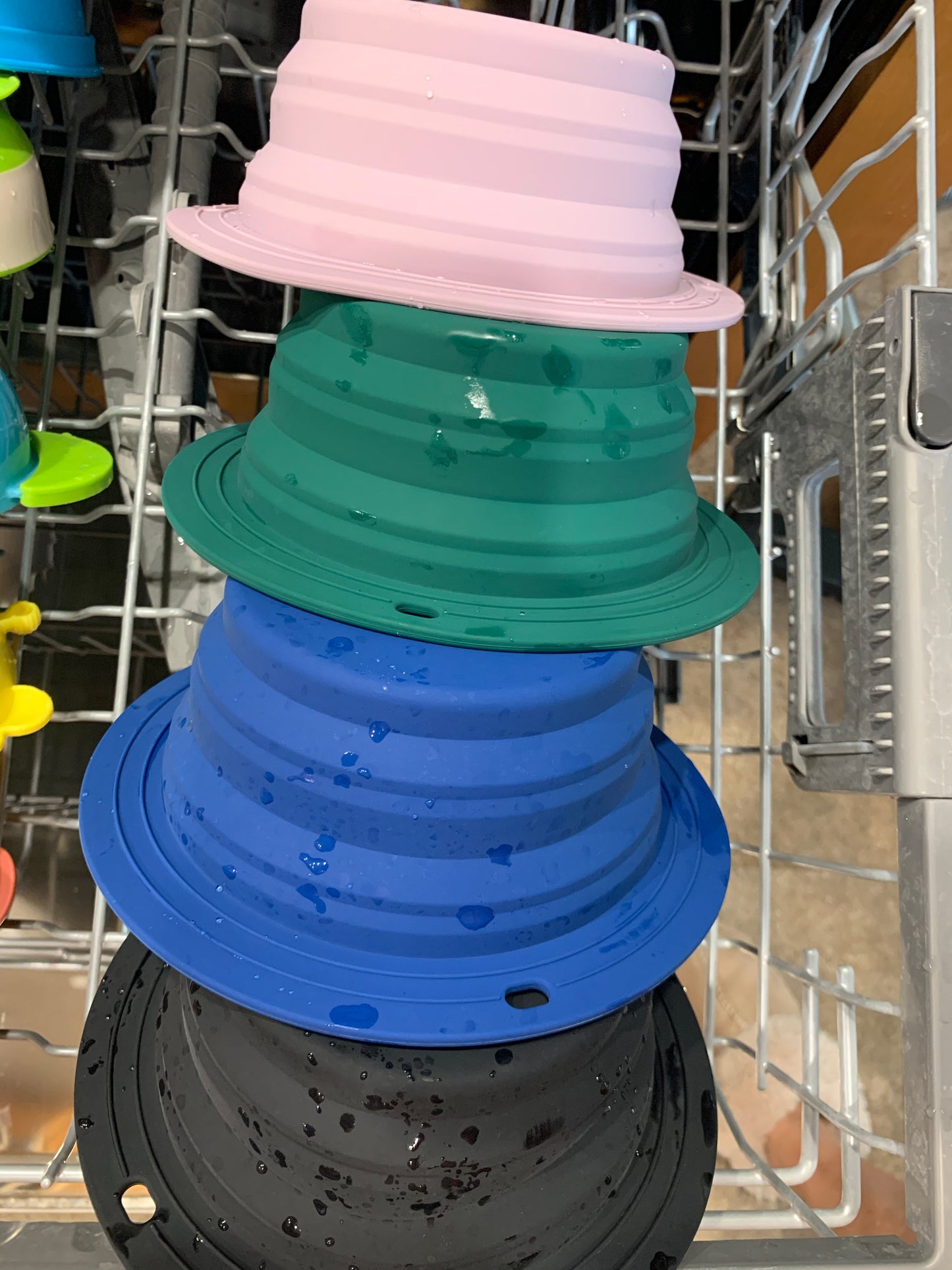 Forrest Green Collapsible Bowl for Travel or Home