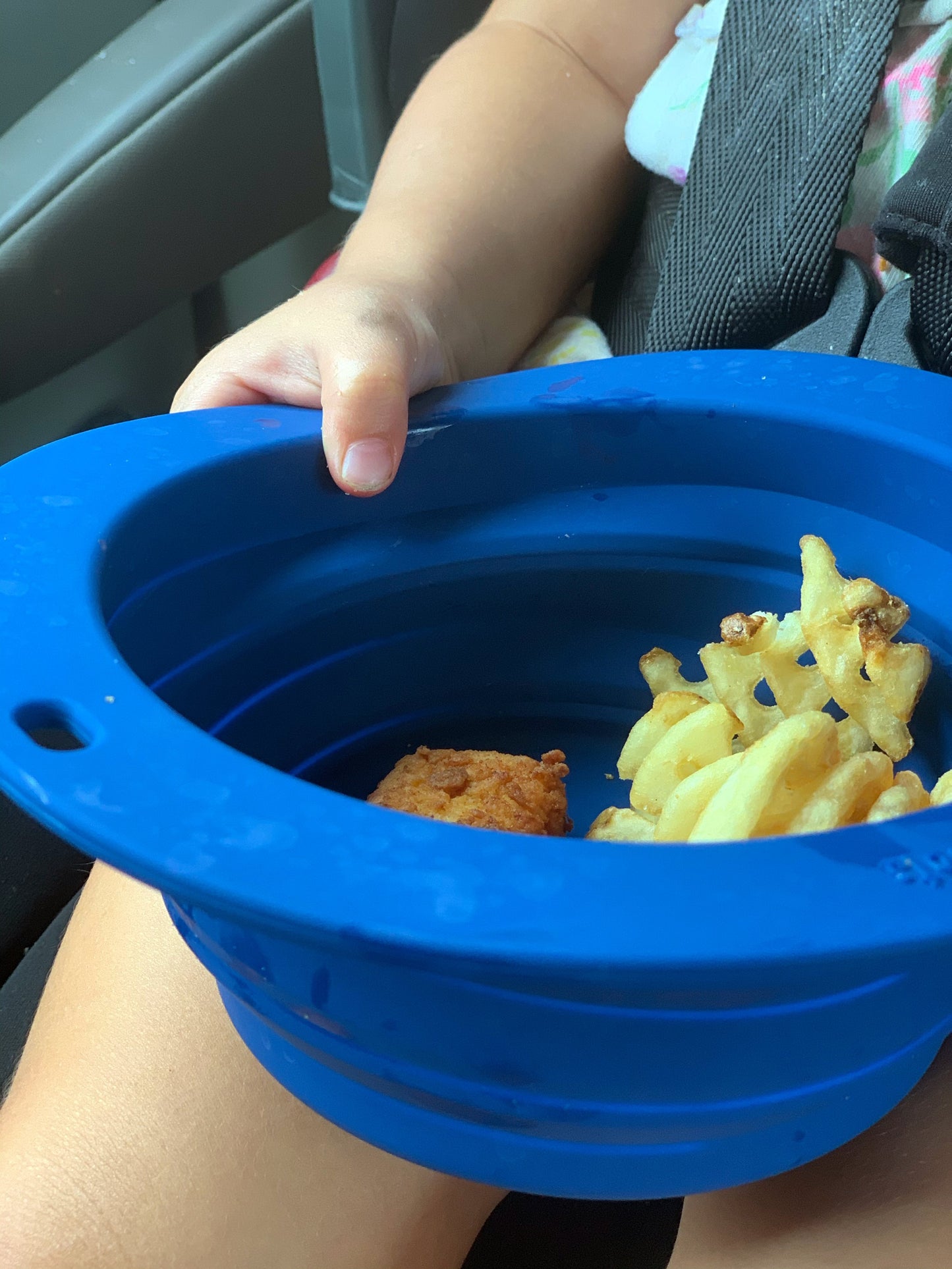 Sailor Collapsible Bowl for Travel or Home