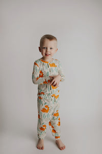 Dinosaur Jammies